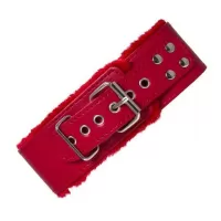 Красный ошейник с металлической фурнитурой красный 