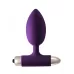 Фиолетовая анальная вибропробка New Edition Perfection - 11,1 см фиолетовый 