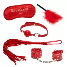 Эротический набор БДСМ из 5 предметов в красном цвете красный 