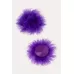 Соблазнительные круглые пэстис с пухом фиолетовый 