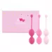Набор из 3 розовых вагинальных шариков FemmeFit Advanced Pelvic Muscle Training Set розовый 