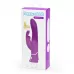 Лиловый вибратор-кролик Curve Rechargeable Rabbit Vibrator - 25,4 см лиловый 