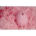 Нежно-розовый вакуум-волновой стимулятор с вибрацией и базой-ночником Cuddly Bird нежно-розовый 