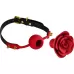 Изысканный кляп в форме розы Rose Ball Gag красный с черным 