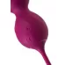 Бордовые вагинальные шарики Moussy с вибрацией и пультом ДУ бордовый 