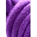Фиолетовый набор БДСМ «Накажи меня нежно» с карточками фиолетовый 