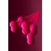 Набор из 3 розовых вагинальных шариков со шнурком розовый 